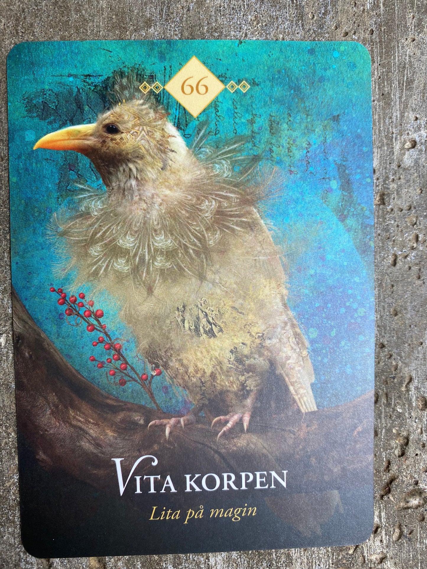 Kraftdjurens Orakelkort (på svenska)